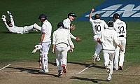 New Zealand players celebrate