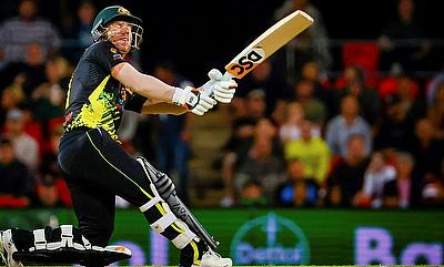 David Warner in action