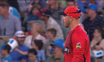 Melbourne Renegades' Aaron Finch