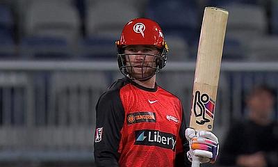 Mackenzie Harvey in action for Melbourne Renegades